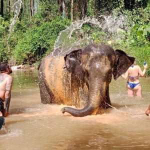 elephant sanctuary tour - Love Kha Lak Holiday