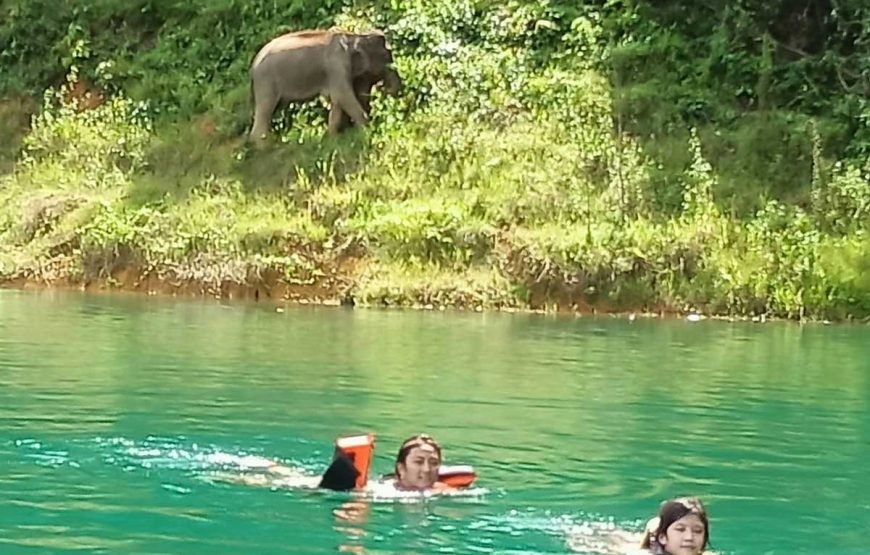 Cheow Lan Lake Overnight with Khao Sok Elephant Care