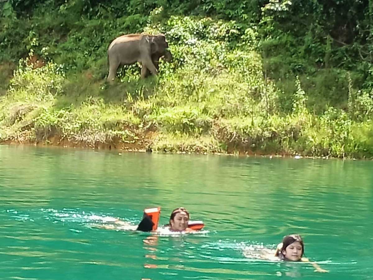 Cheow Lan Lake Overnight with Khao Sok Elephant Care