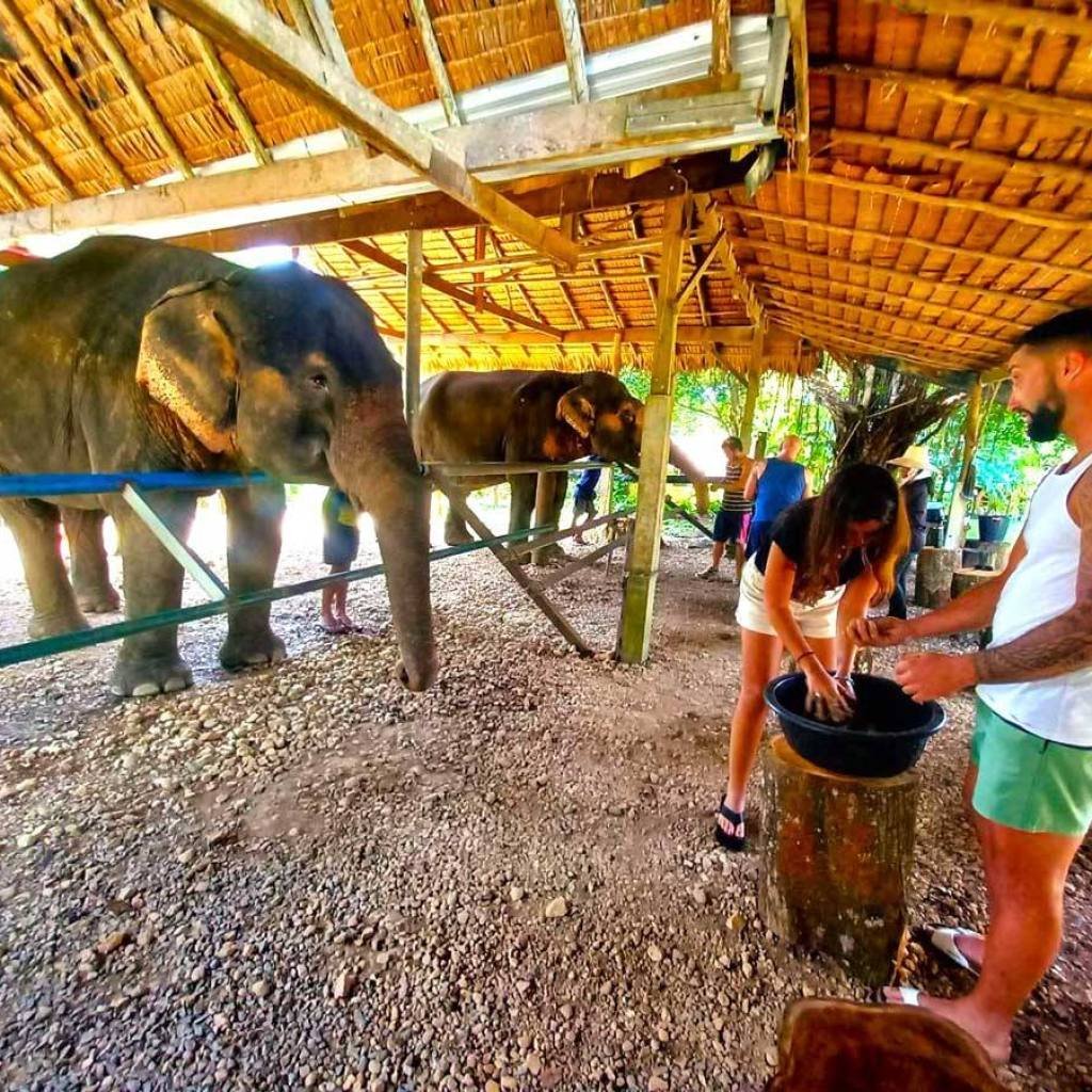 Elephant Sanctuary