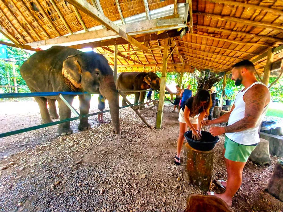 Khao Sok Adventure – Elephant Day Care and Bamboo Rafting