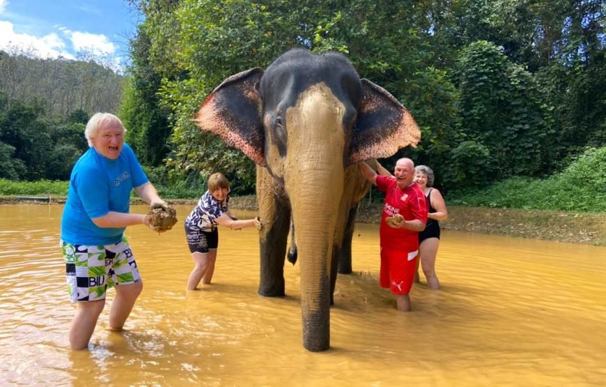Cheow Lan Lake Overnight with Khao Sok Elephant Care