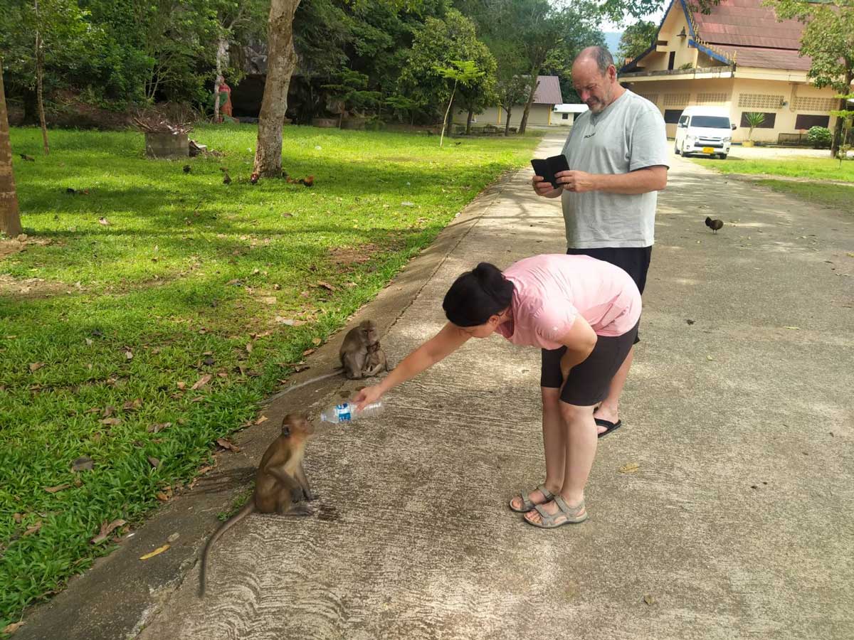 Khao Sok Adventure – Elephant Day Care and Bamboo Rafting