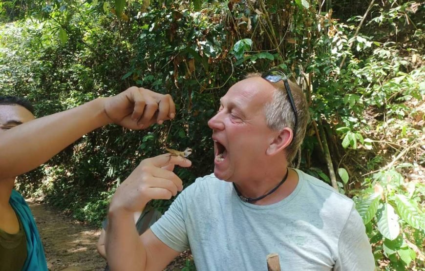 Cheow Lan Lake Overnight with Khao Sok Elephant Care
