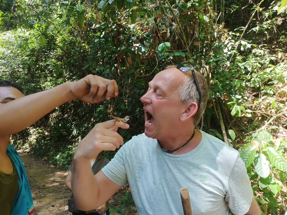 Cheow Lan Lake Overnight with Khao Sok Elephant Care