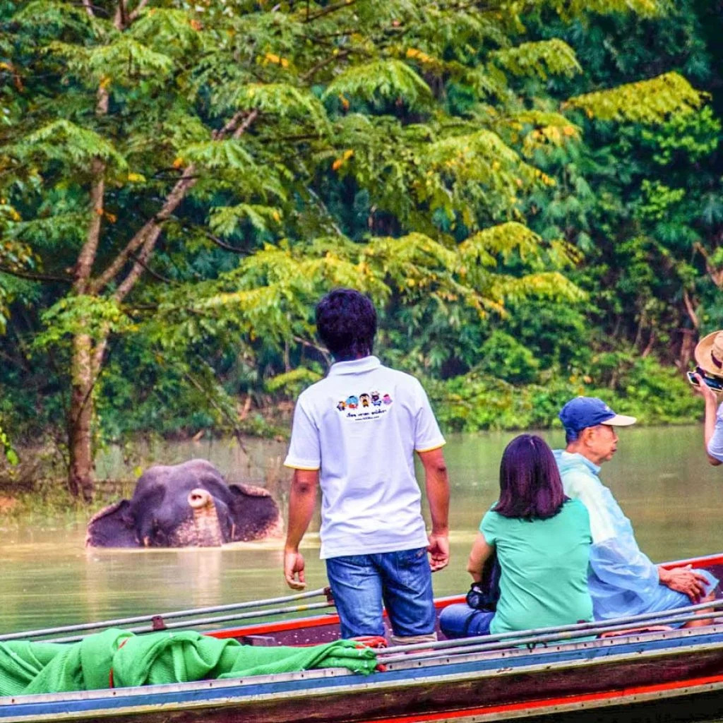 Khao Sok Lake