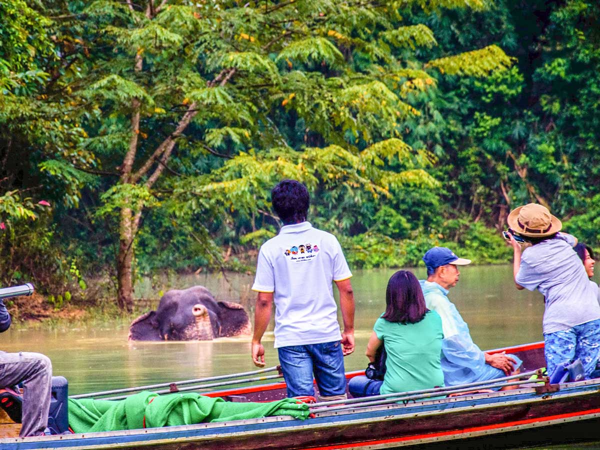 Khao Sok Lake Unforgettable Overnight Getaway