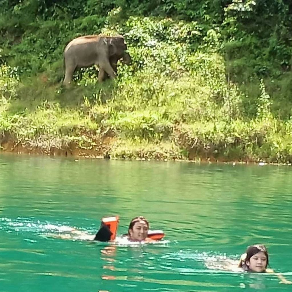 Khao Sok National Park