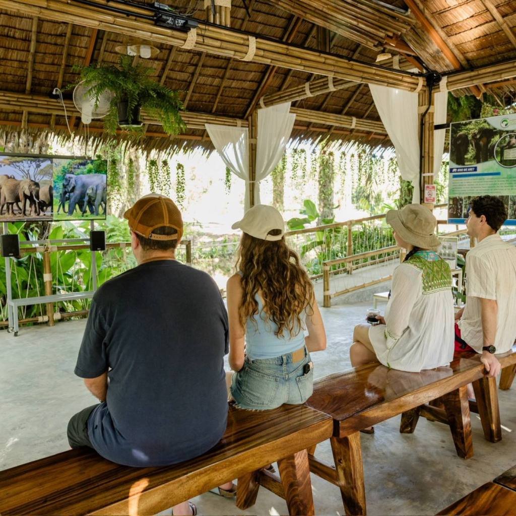 Khao Lak Elephant Sanctuary: Ethical Observation Tour