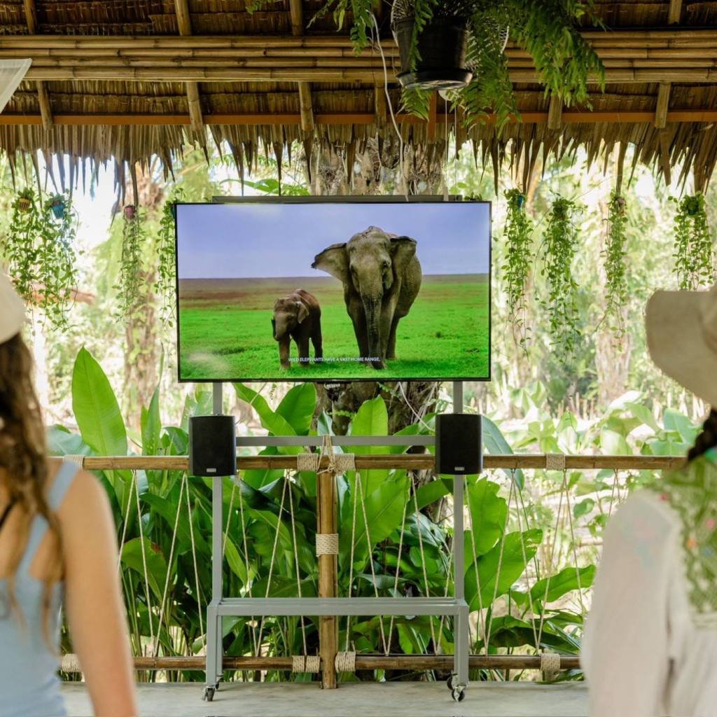 Khao Lak Elephant Sanctuary: Ethical Observation Tour
