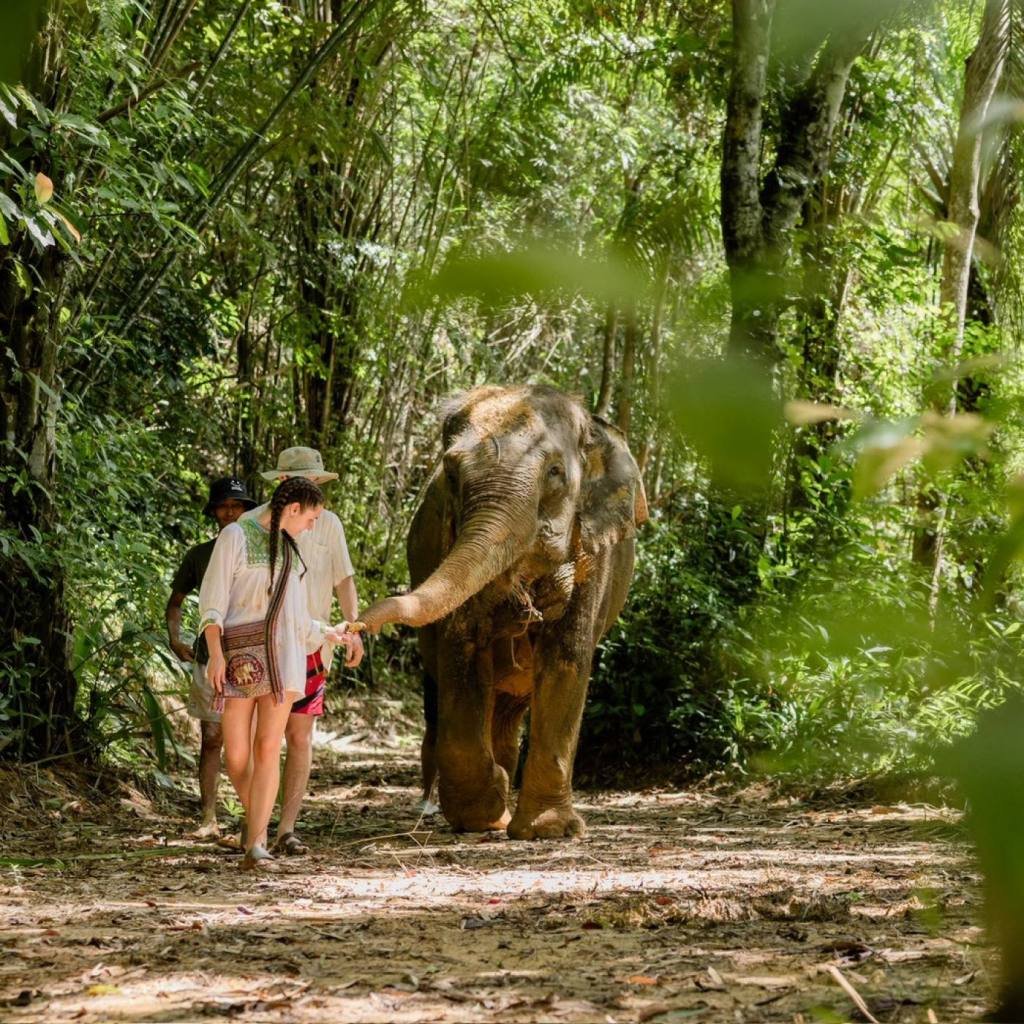 Khao Lak Elephant Sanctuary: Ethical Observation Tour
