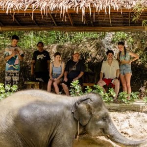 A group of seven people gathered under a bamboo-roofed shelter, watching a young Asian elephant in a muddy clearing surrounded by lush greenery.