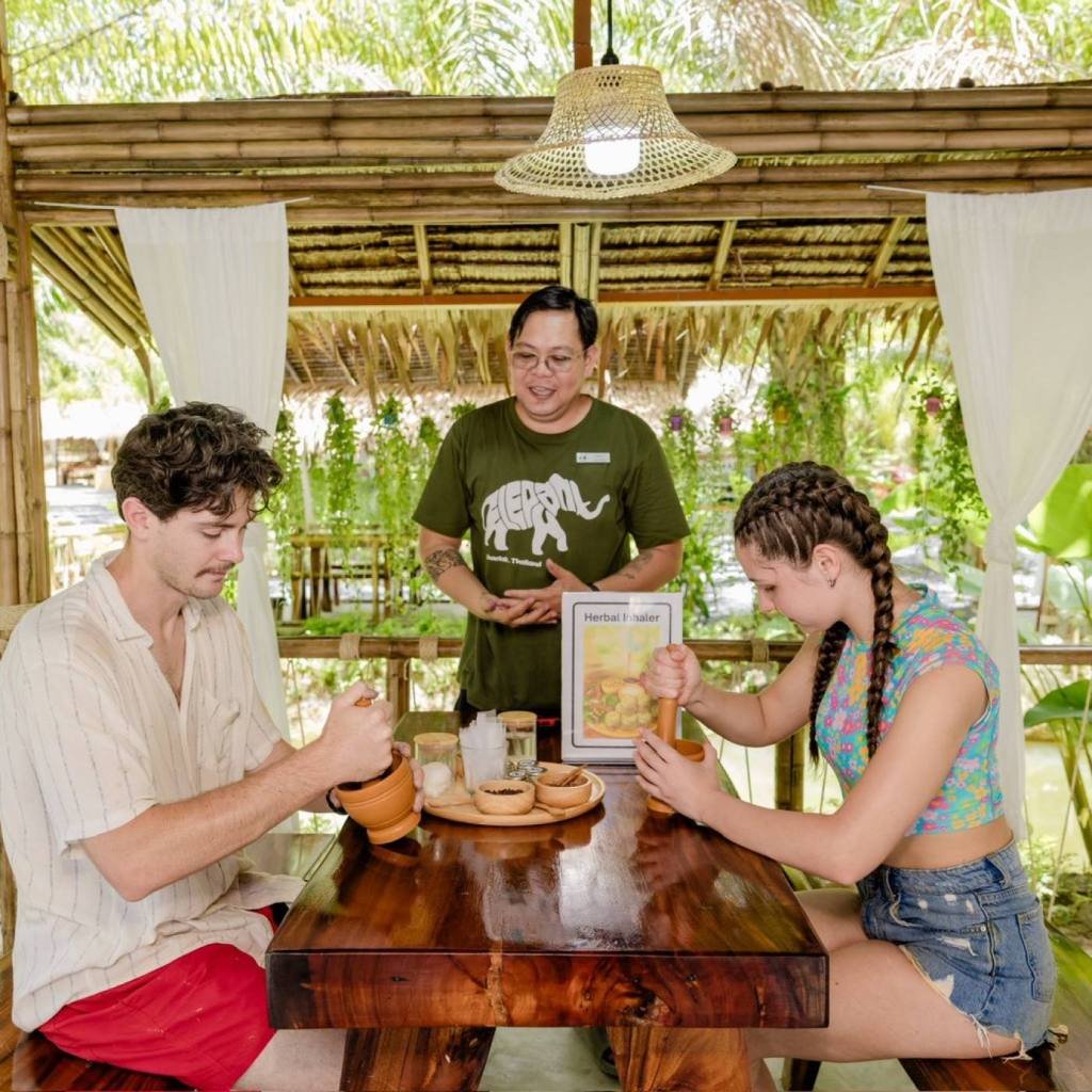 Khao Lak Elephant Sanctuary: Ethical Observation Tour