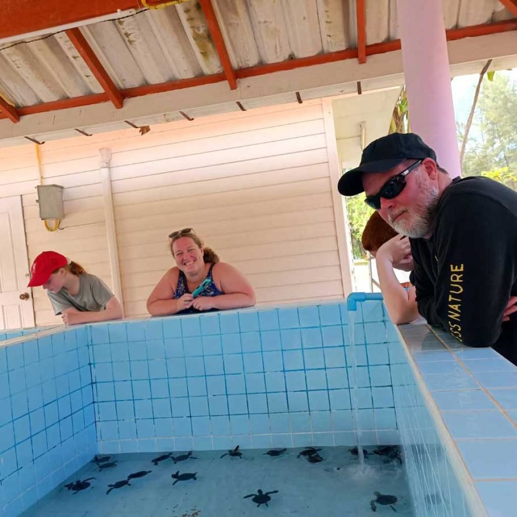 Turtle Conservation in Khao Lak