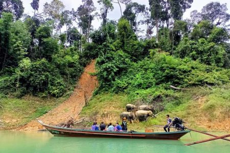 Khao Lak Bamboo Rafting, Waterfalls, and Turtle Conservation