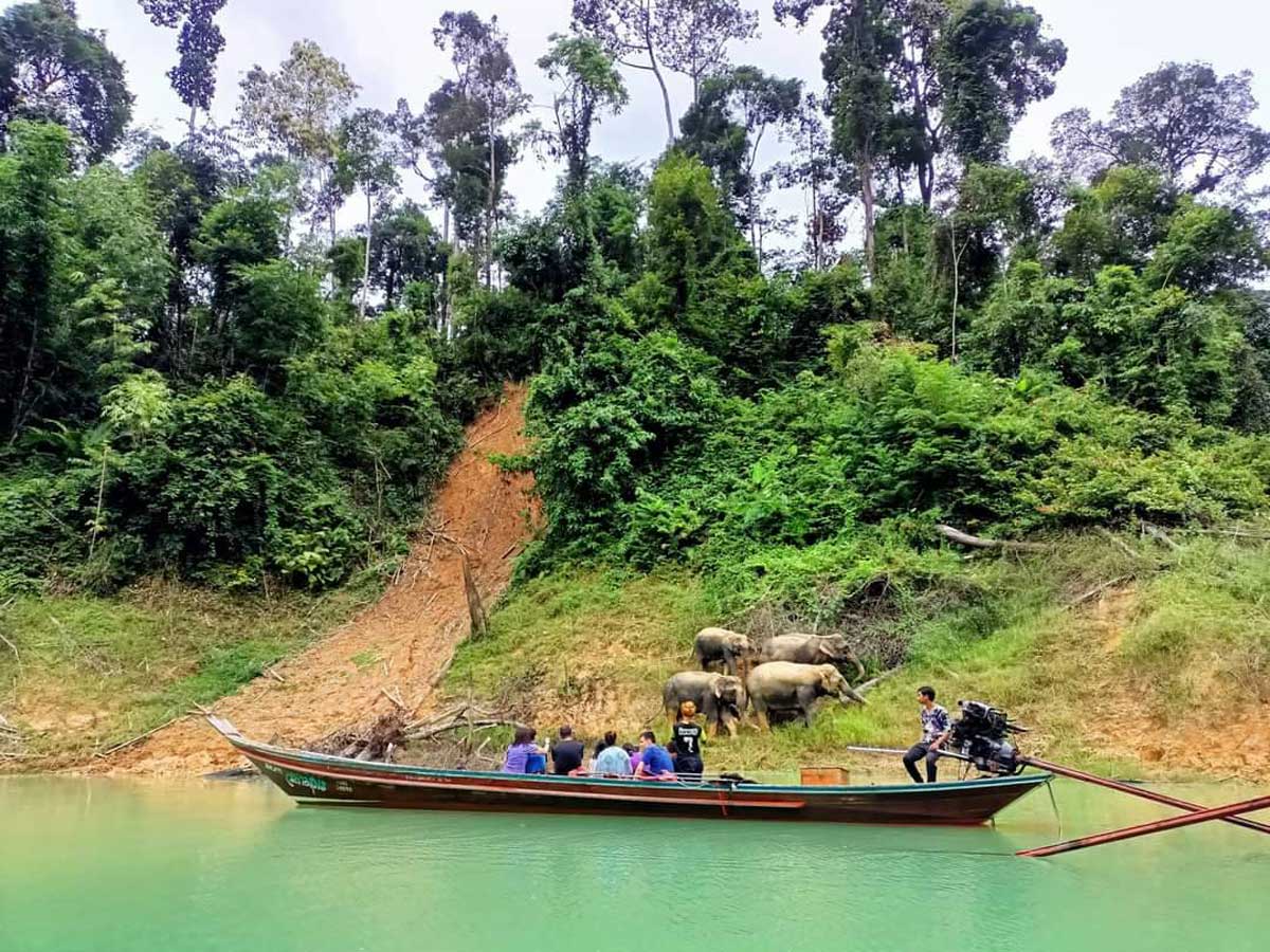 Cheow Lan Lake – Romantic Sunset Cruise with sparkling wine