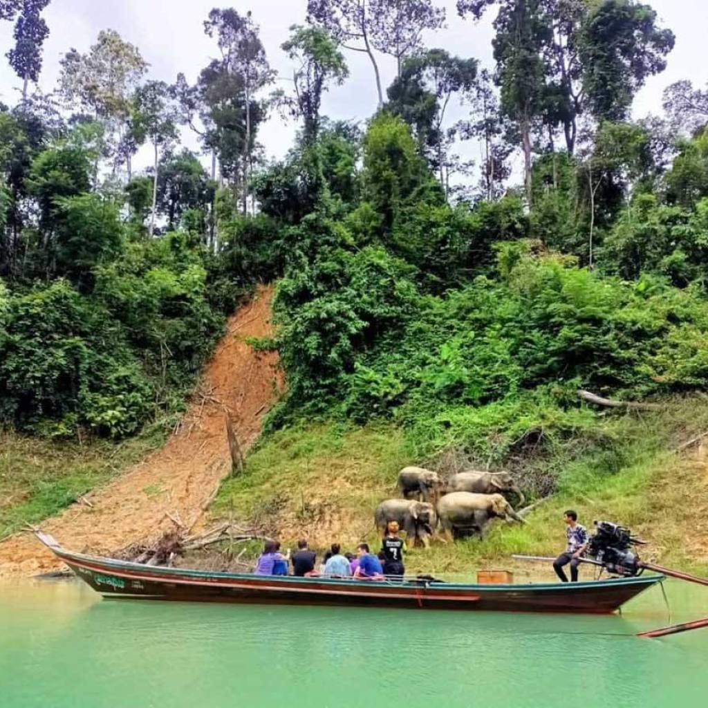 Khao Sok Lake Wildlife
