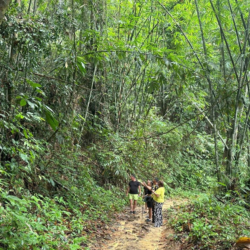 Khao Sok Jungle Safari: Sunset Wildlife, Cave & Rafting