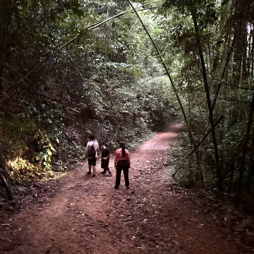 Khao Sok Jungle Safari: Sunset Wildlife, Cave & Rafting