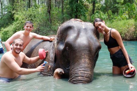 Khao Sok Elephant Sanctuary and Night Jungle Walk